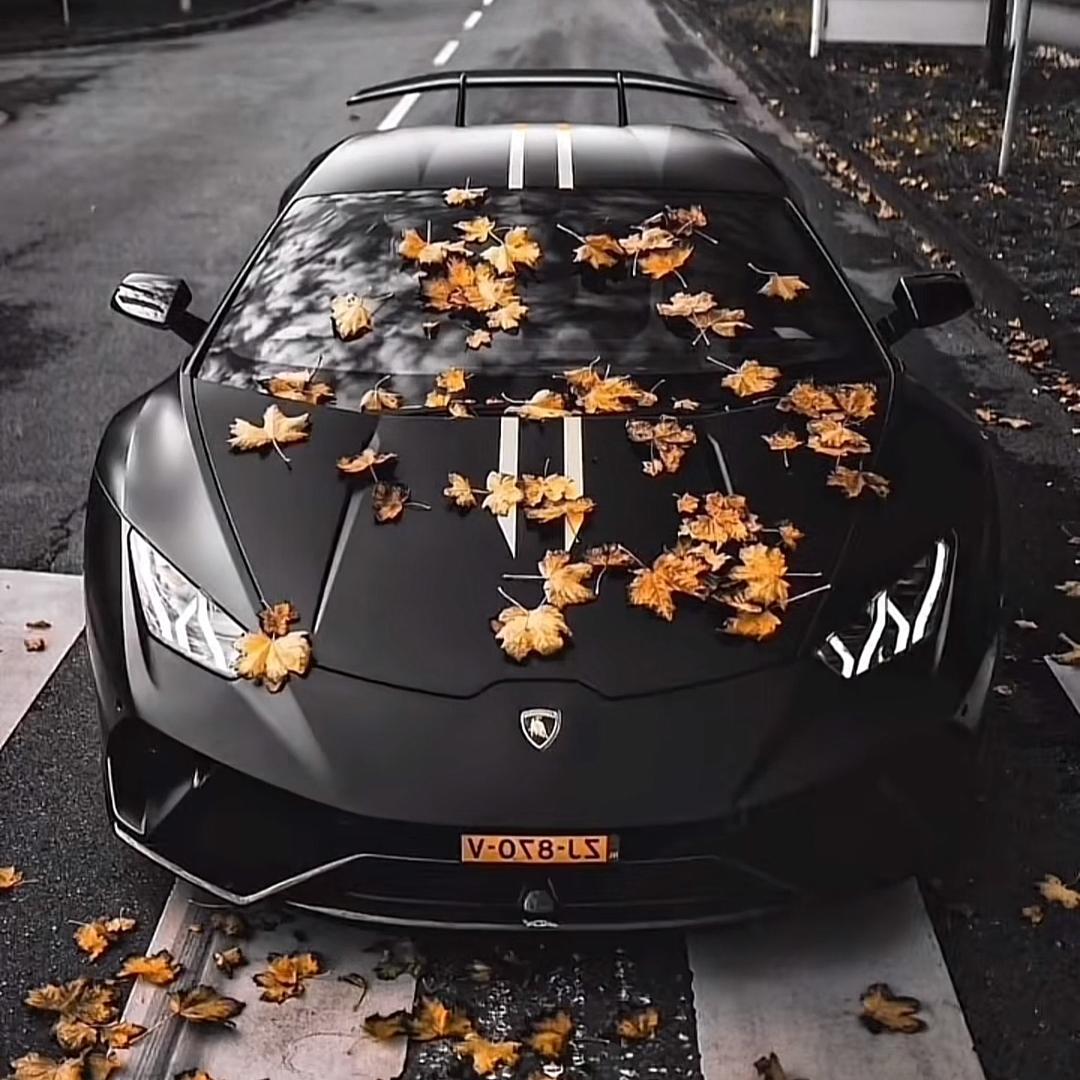巨龙