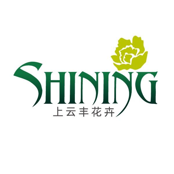 上云丰种苗