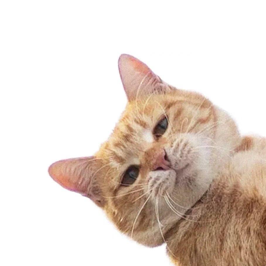 生肉包