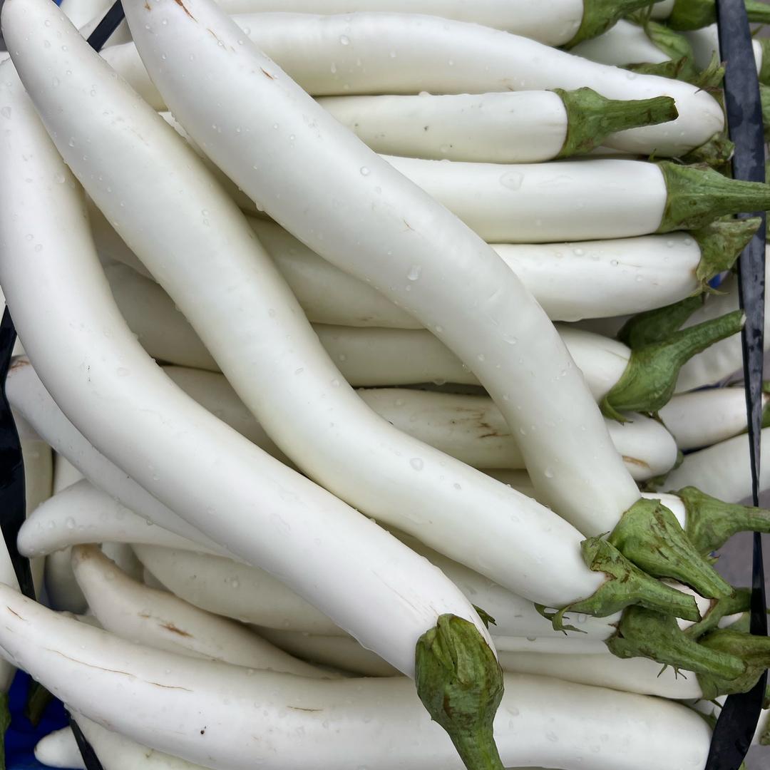 明德蔬菜