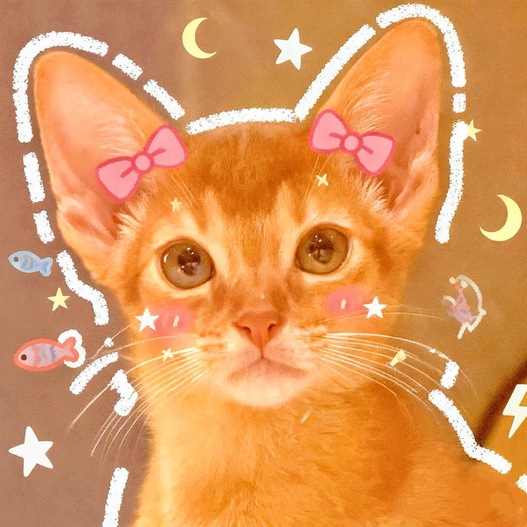 李鱼精  ≧▽≦
