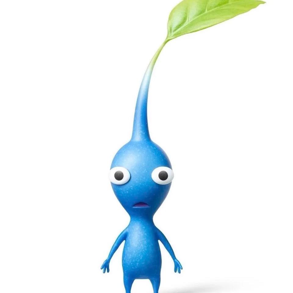 我爱洗脸刷牙洗澡睡觉