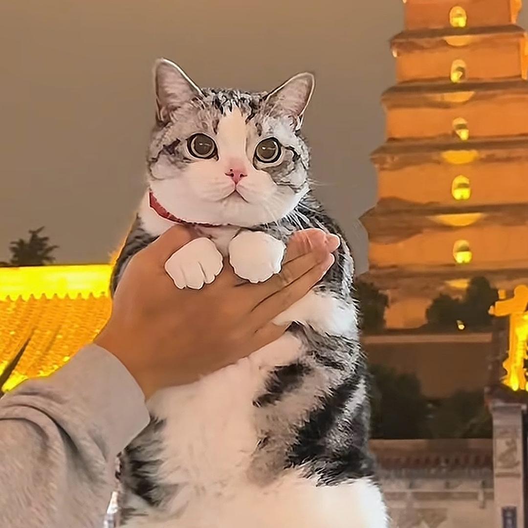 小螃蟹🦐🦞🦀