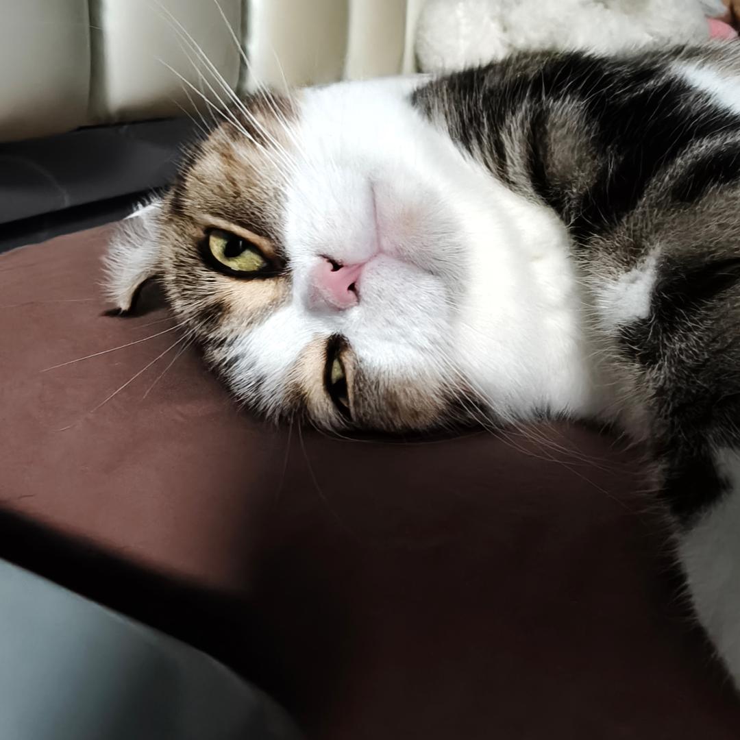 思思www.