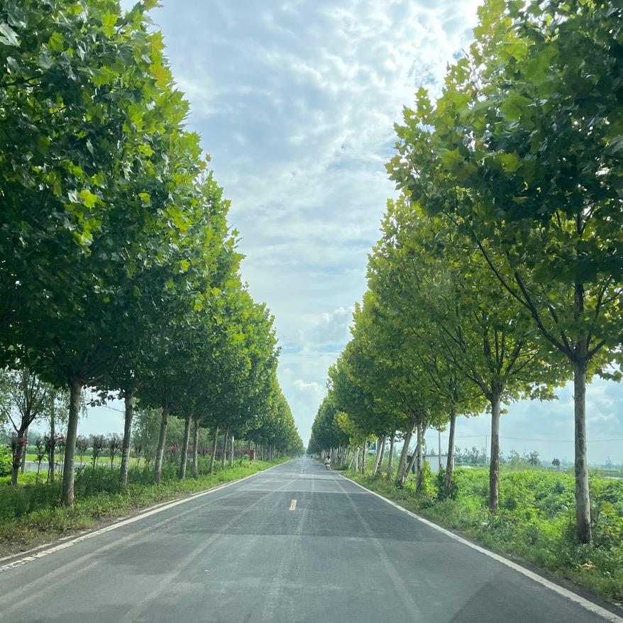 连云港市墟沟 大洋