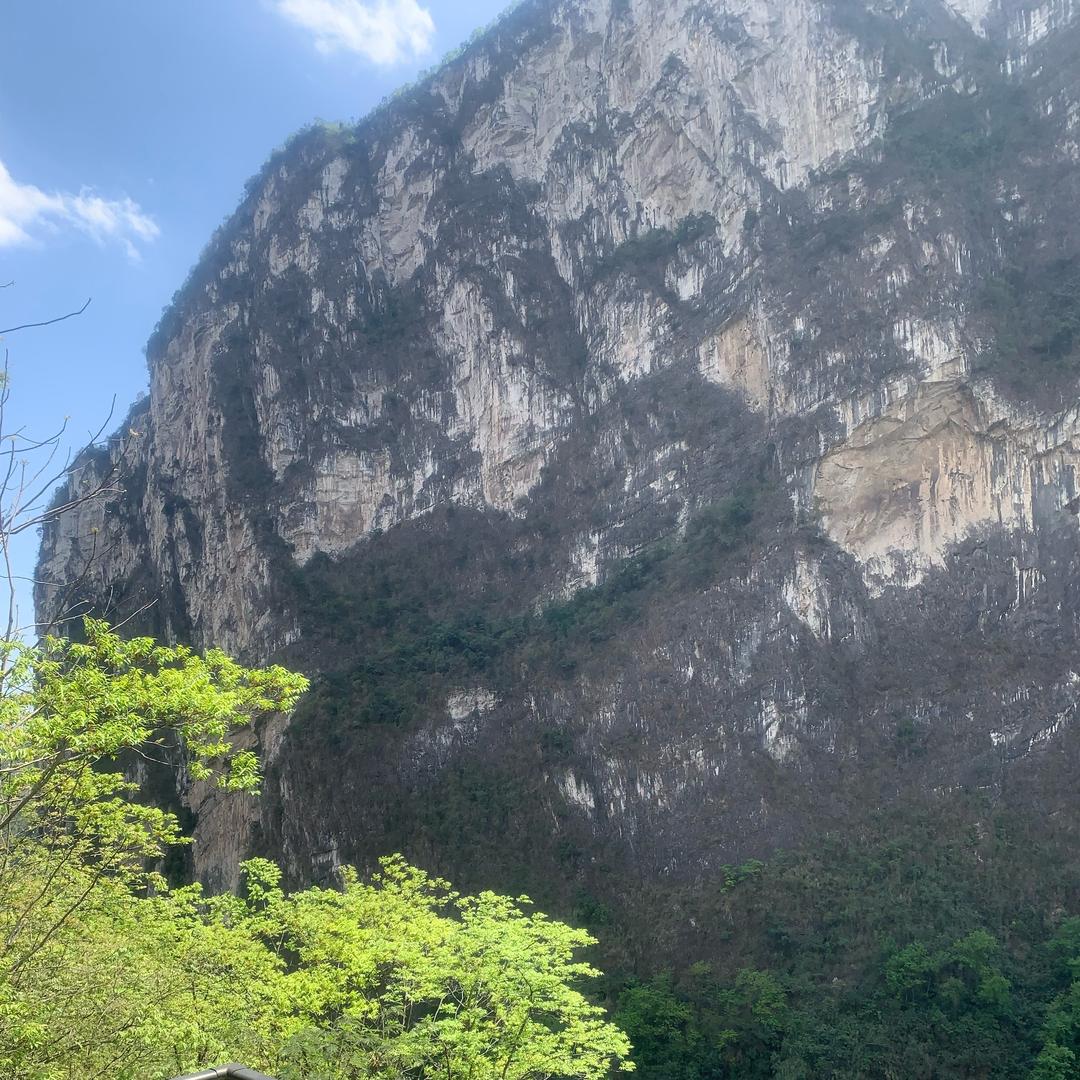 当雪中送炭遇见锦上添花