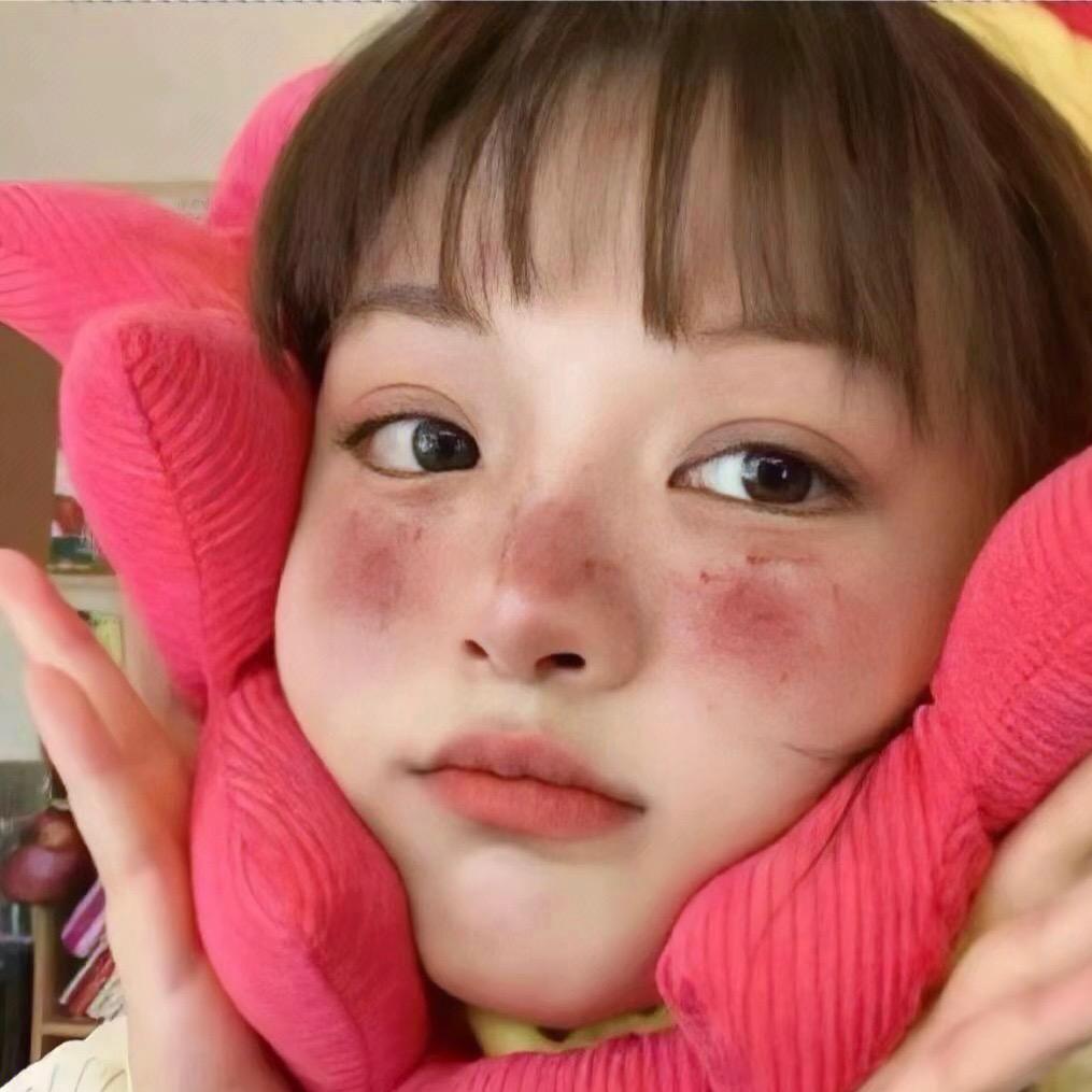 一只白鸽