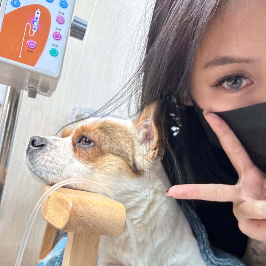 7宝的77只猫狗🐱🐶