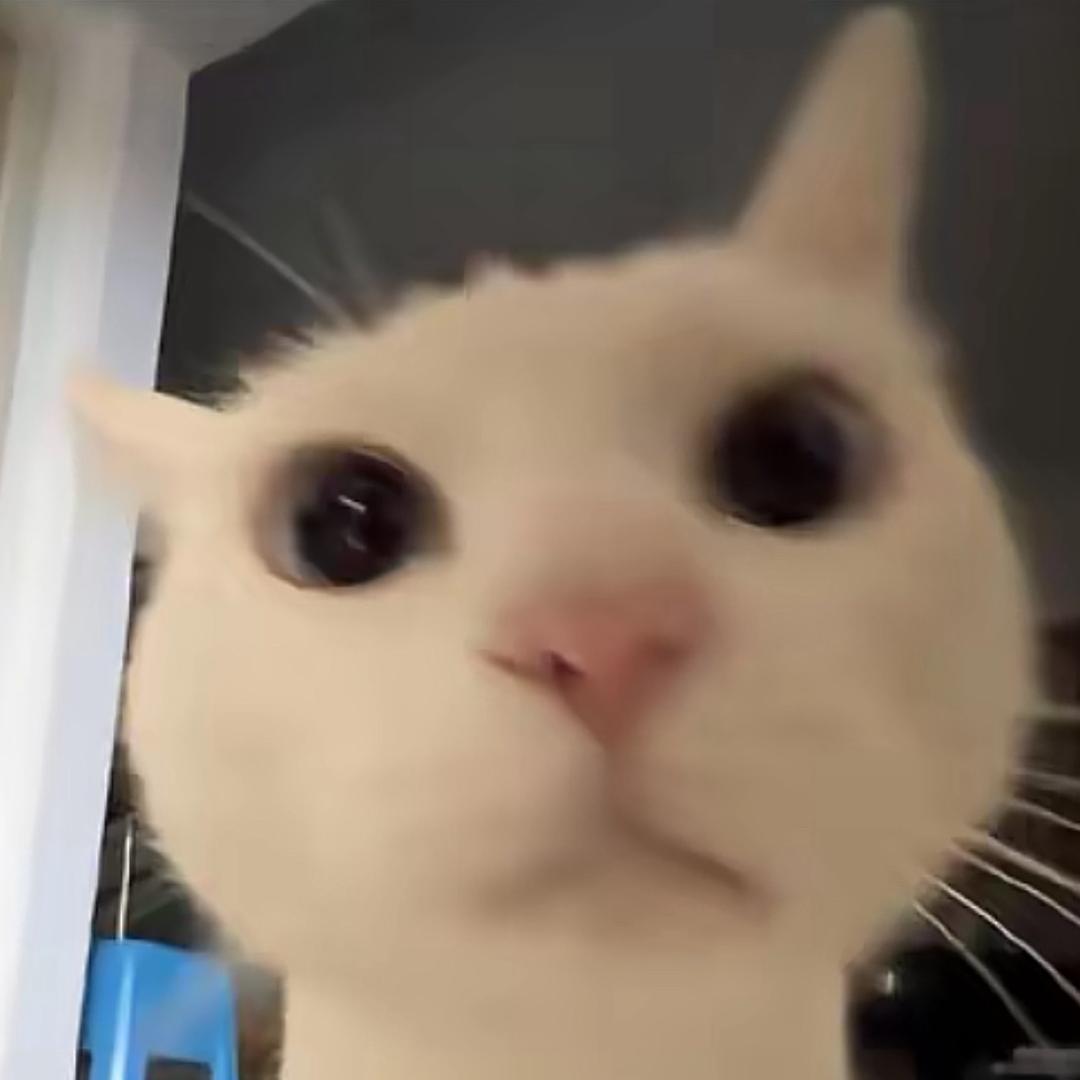 h ￴