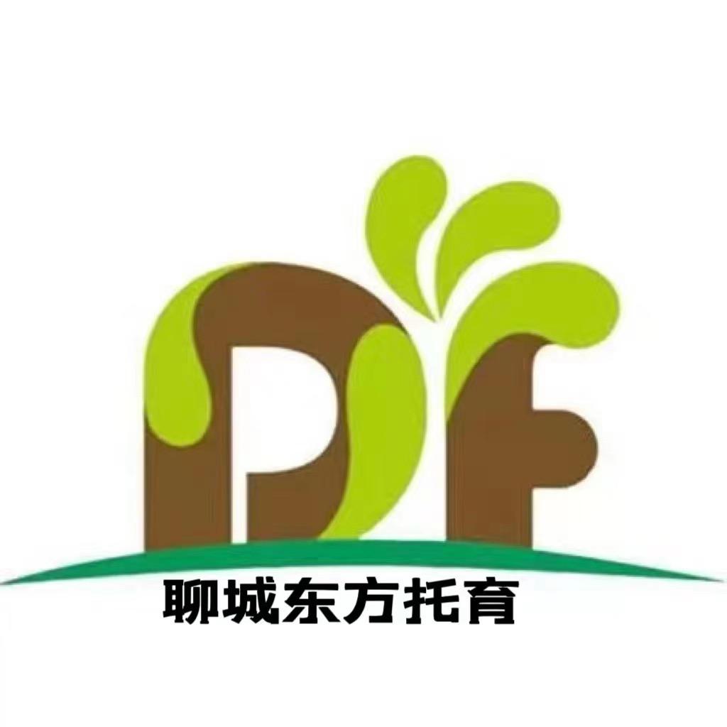 聊城东方托育