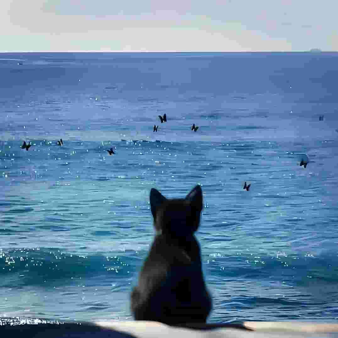 品牌短袖T恤夏季