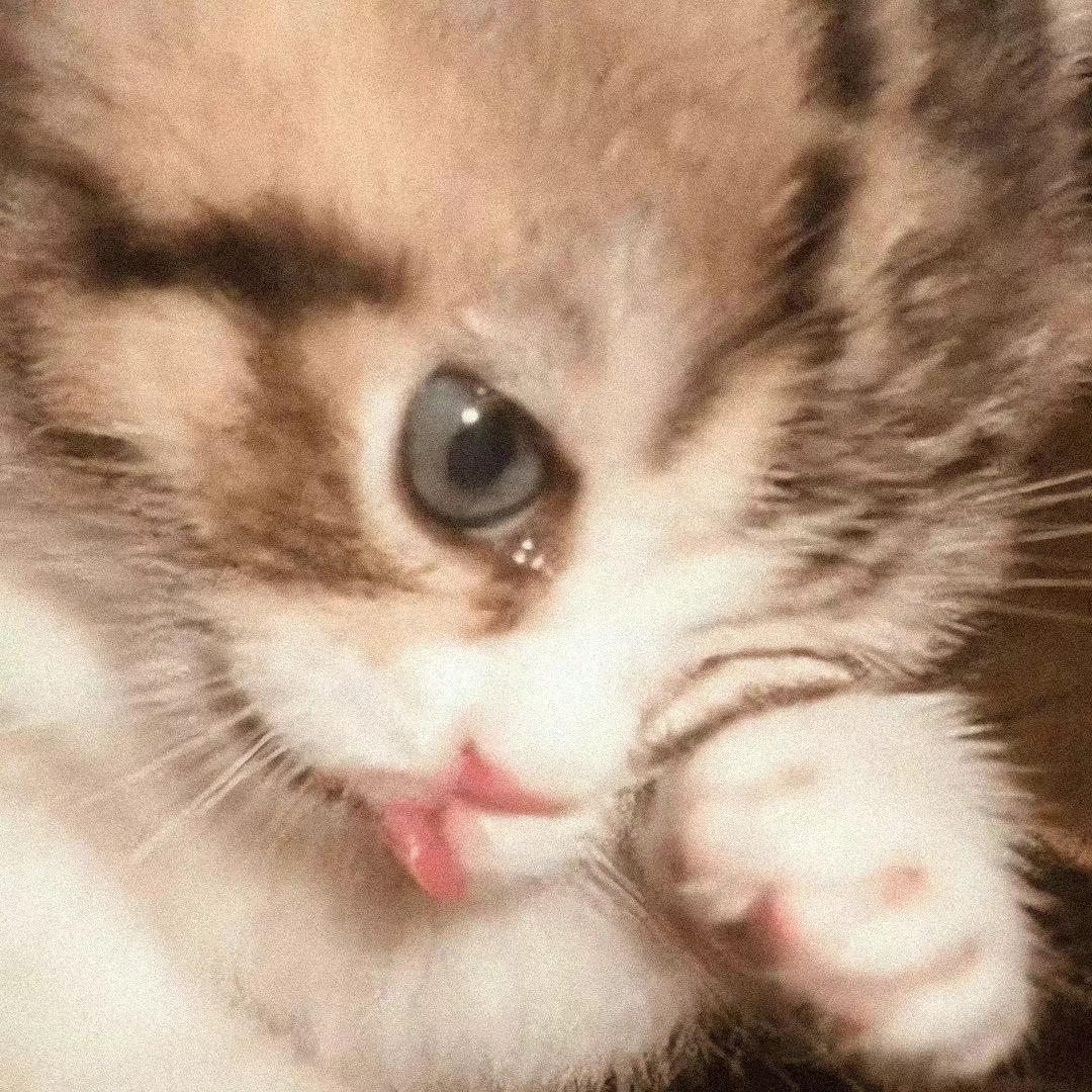 0707