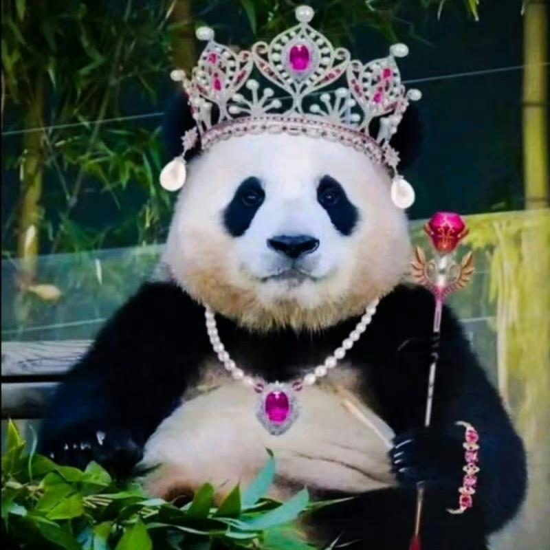 红尘红尘多可笑