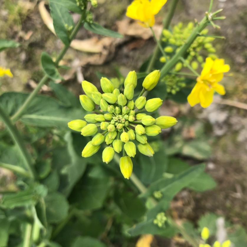 徐要补补钙🥯🍡