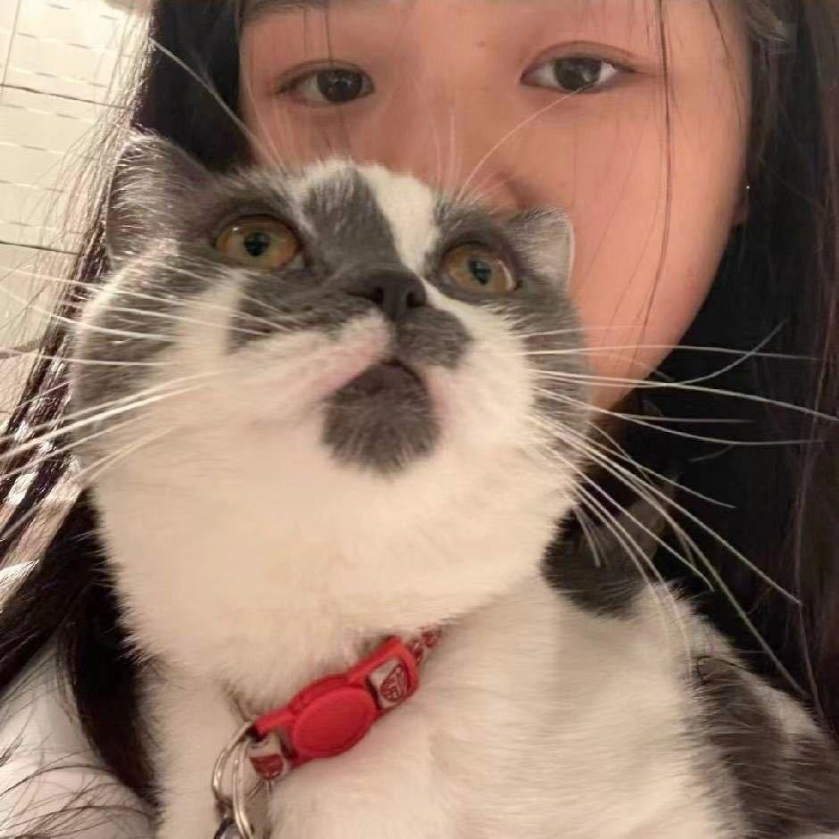 滴滴滴滴啦啦啦