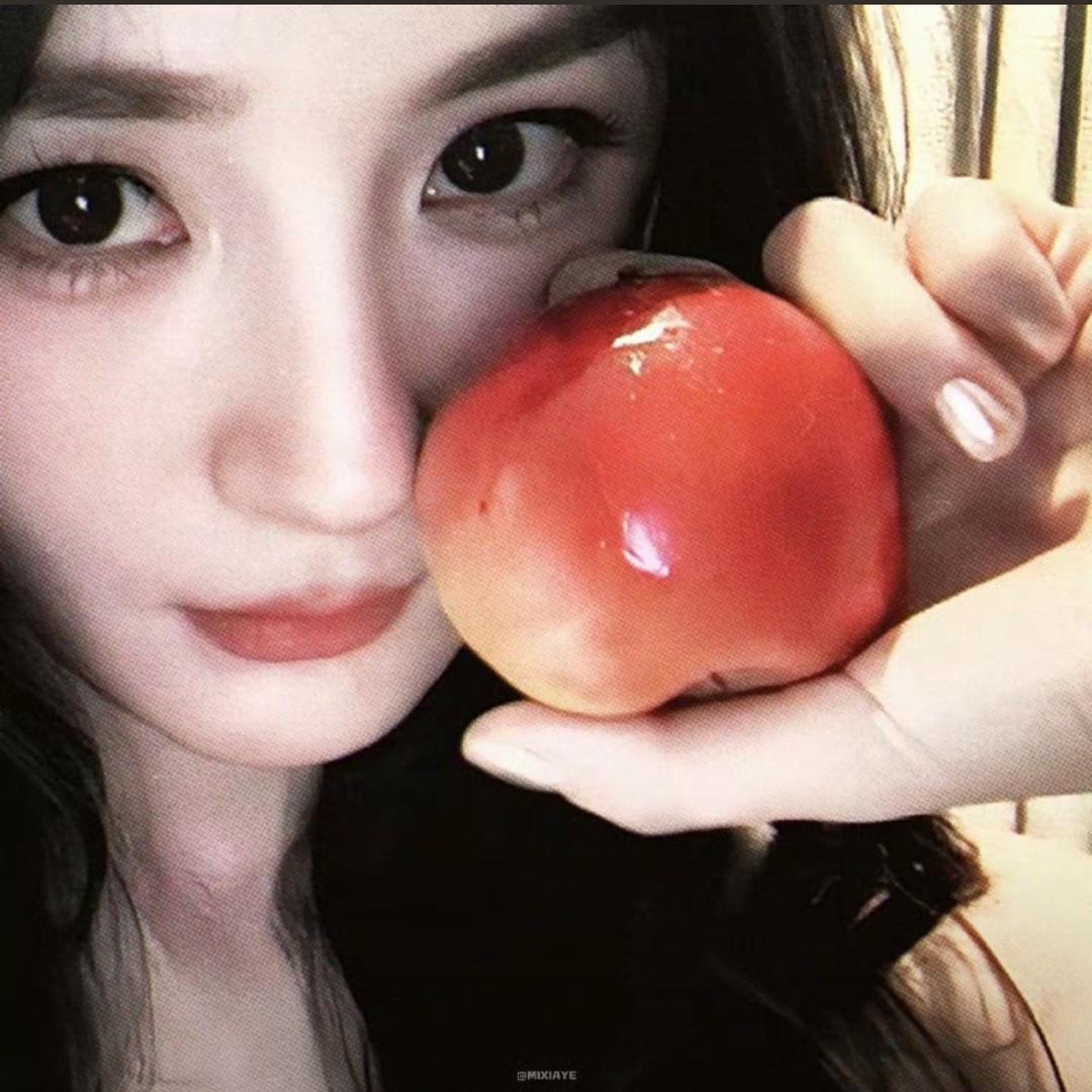 栗崽子🌰（见过鹭卓敖瑞鹏十个勤天版）