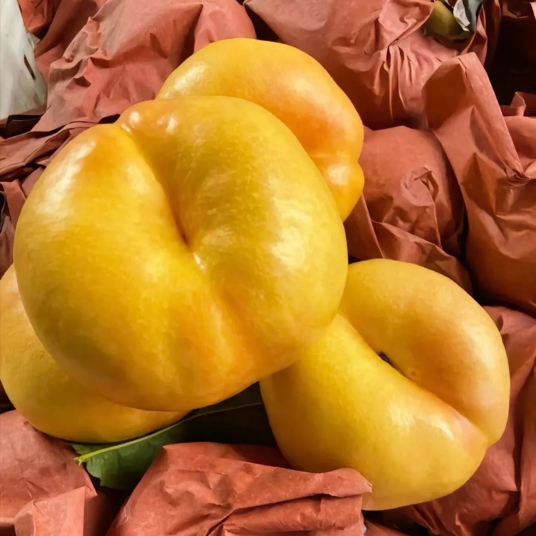 蜜桃记🍑