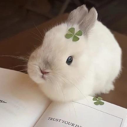 农村阿强🌱