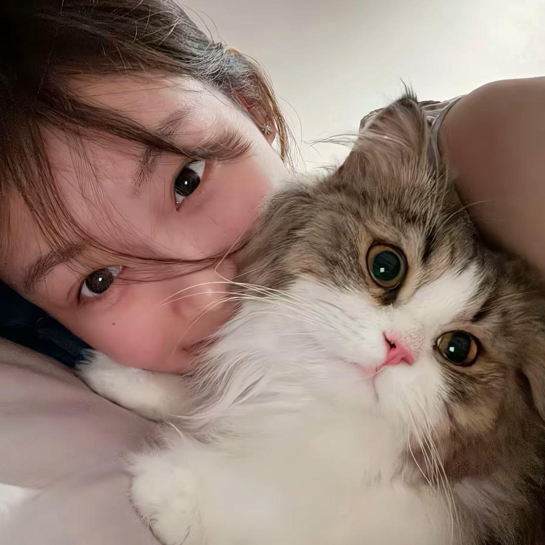 圈圈
