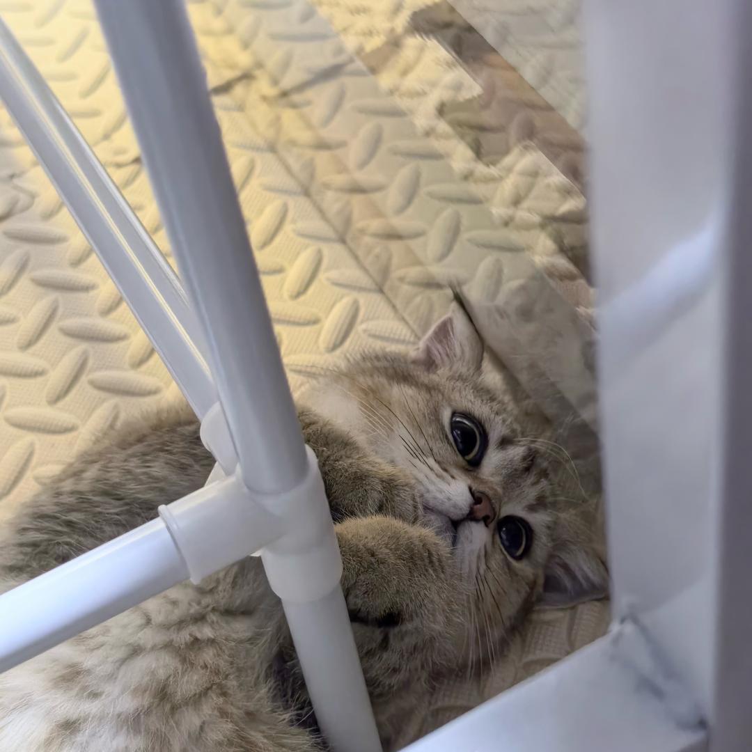 眨眨眼