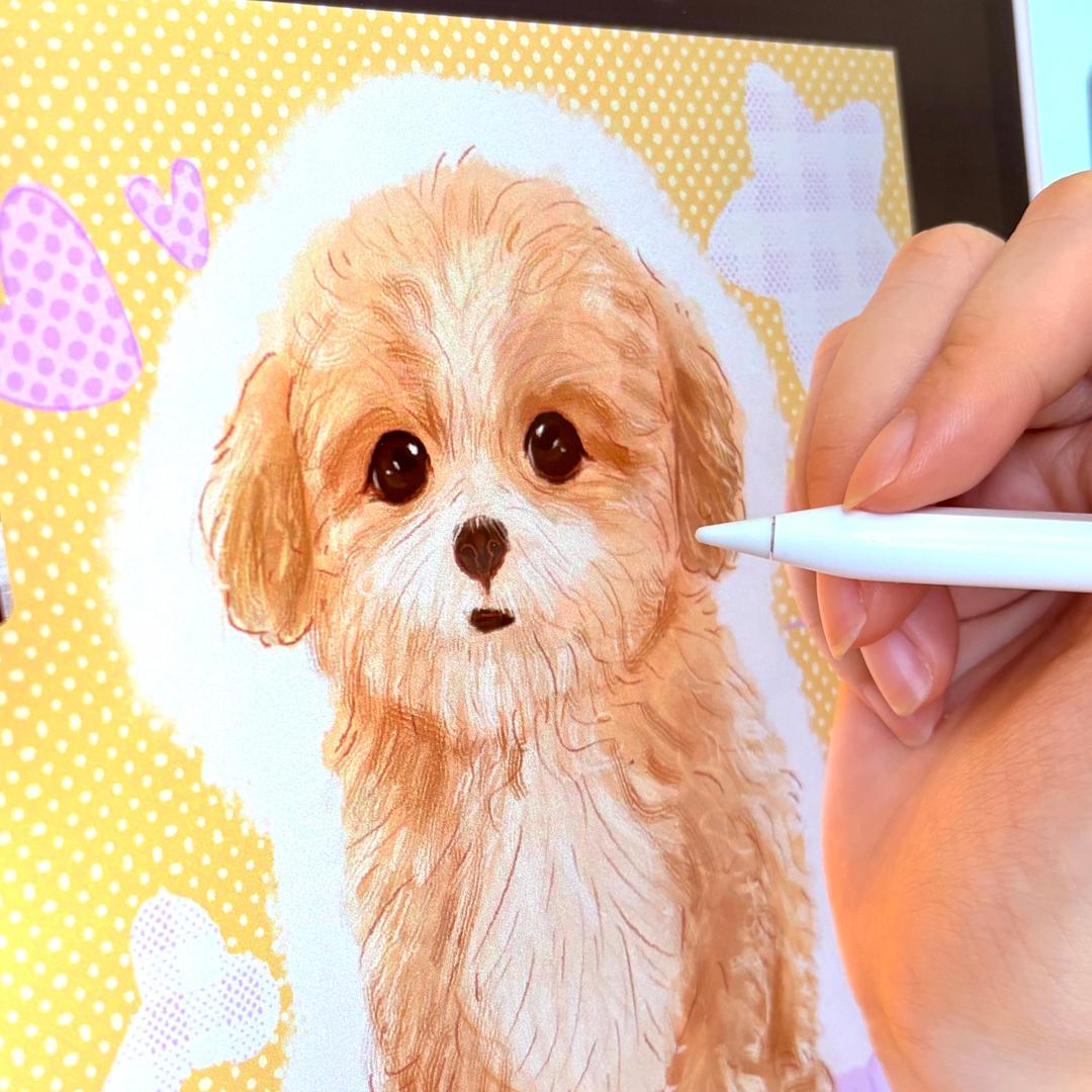 京子的萌宠绘画馆（接稿中）