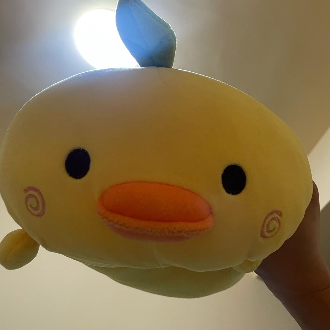 cc