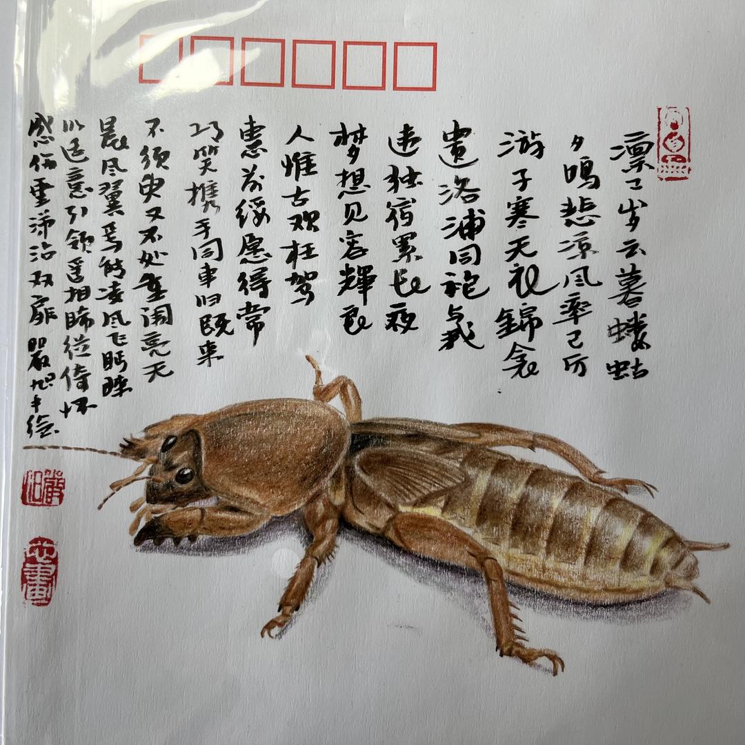 互助涨1000