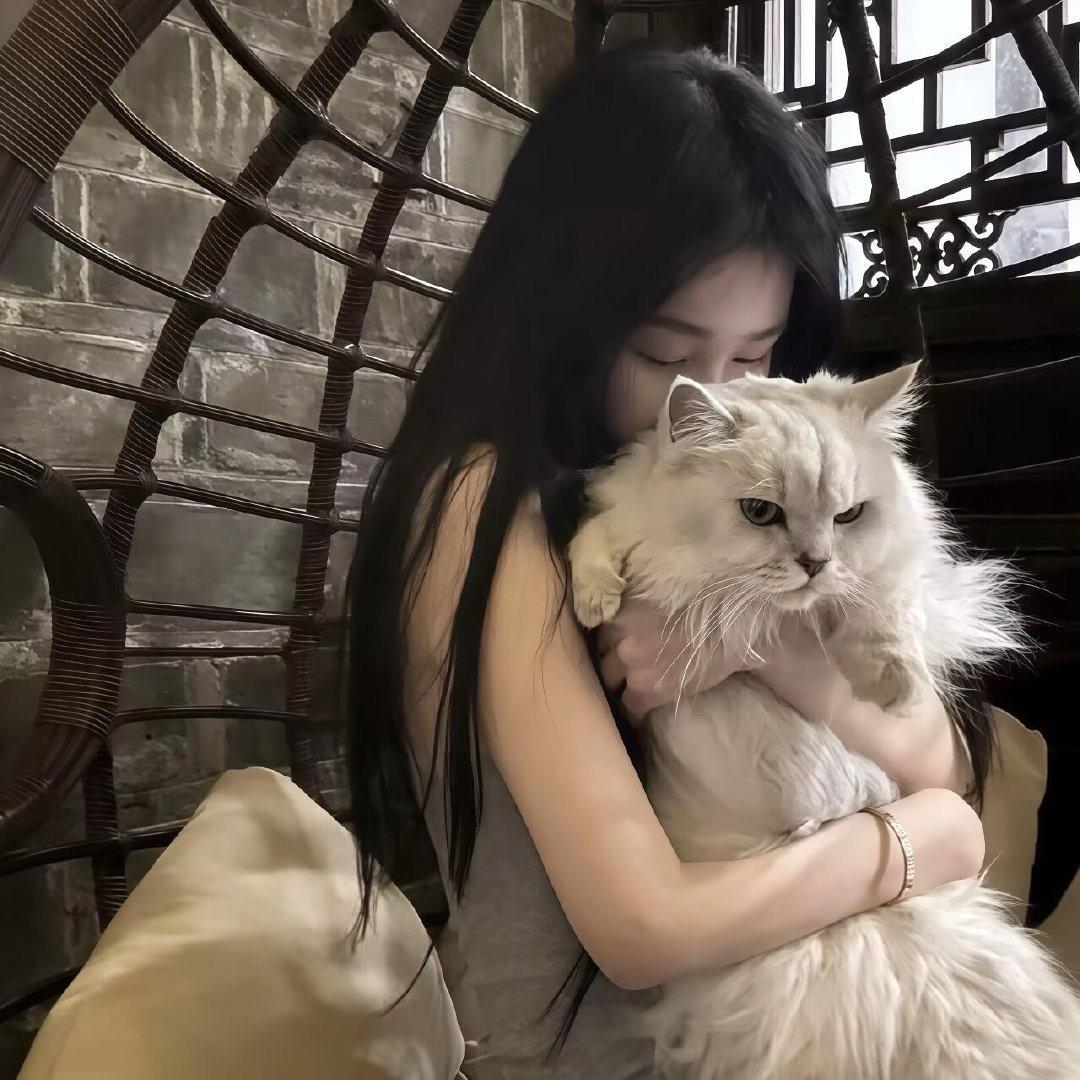 小木无忧🍃