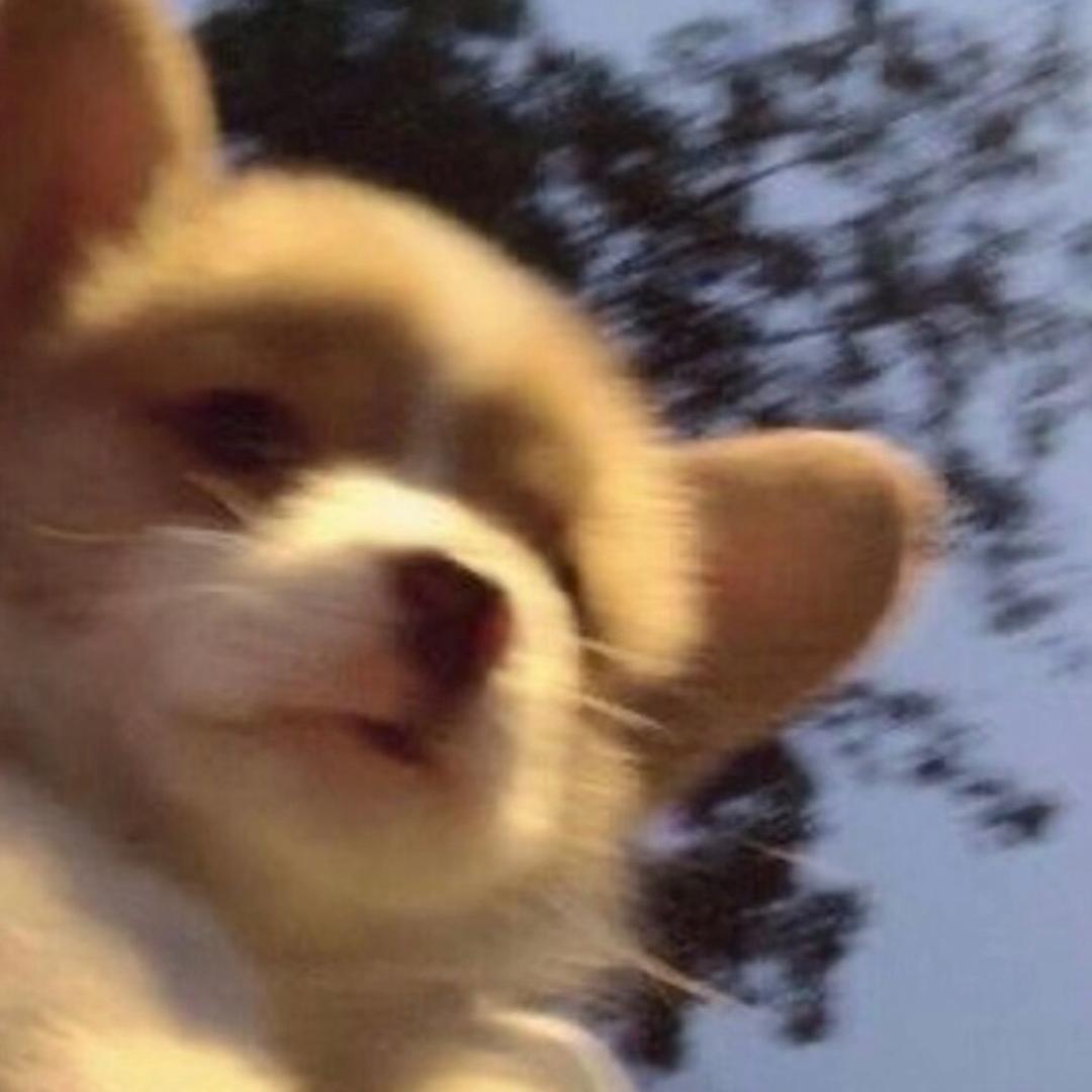 Nann_