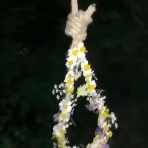 夜合鸟