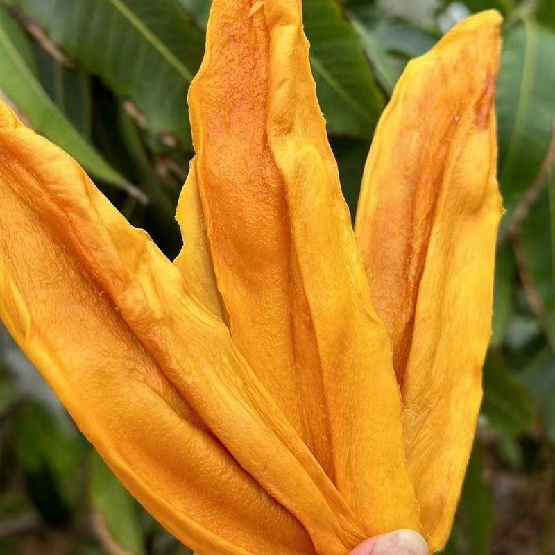 蜀里芒乡