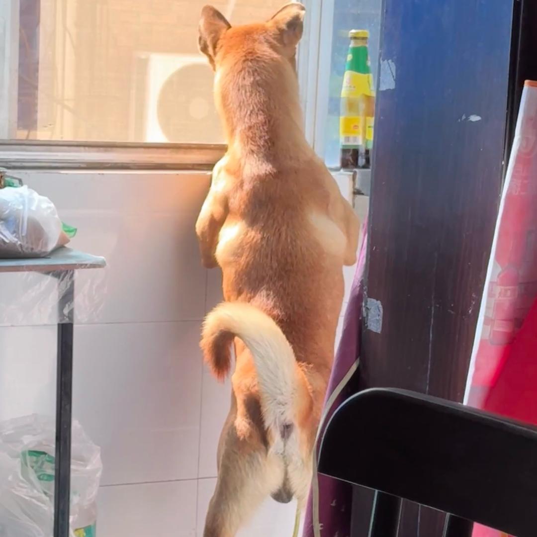 怡宝不是矿泉水