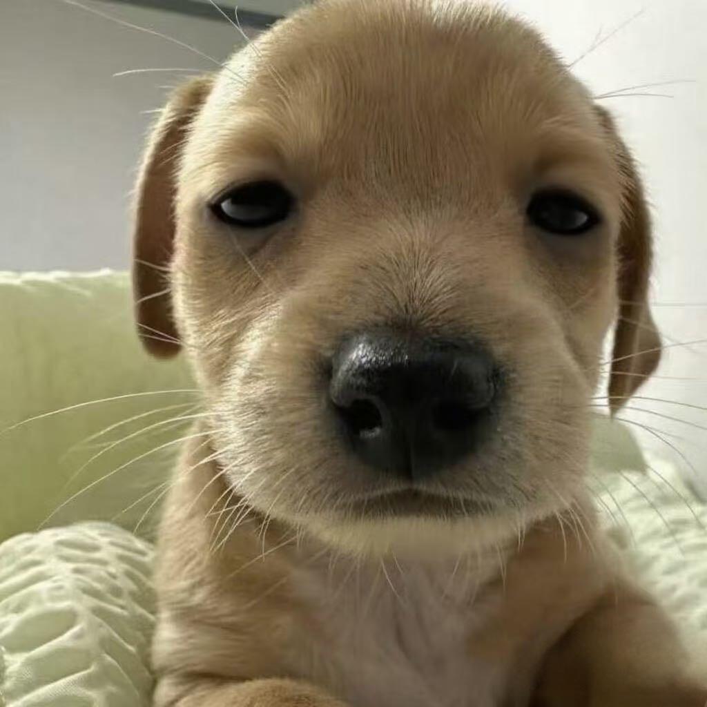 含🧊