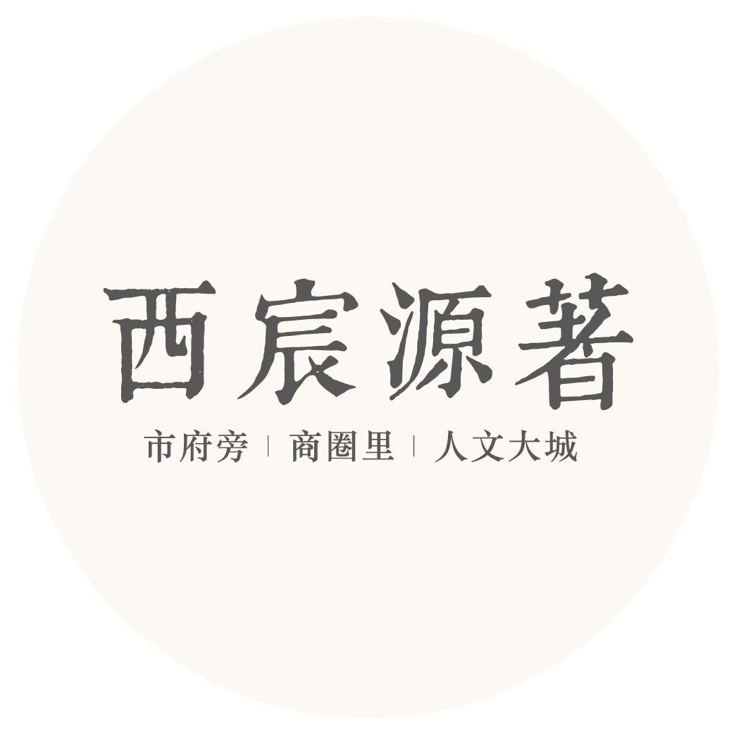 西宸源著