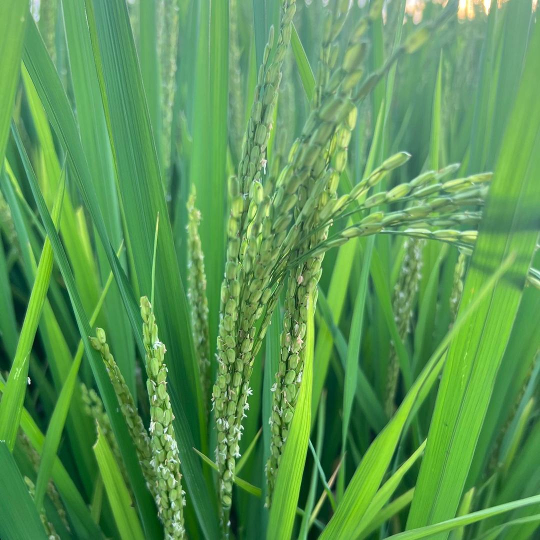 徽跃汽服华邦店