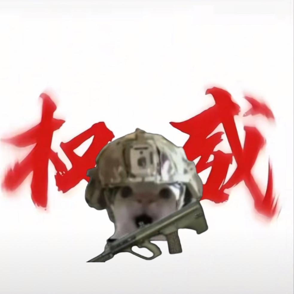 【嘴替天团】智慧如我
