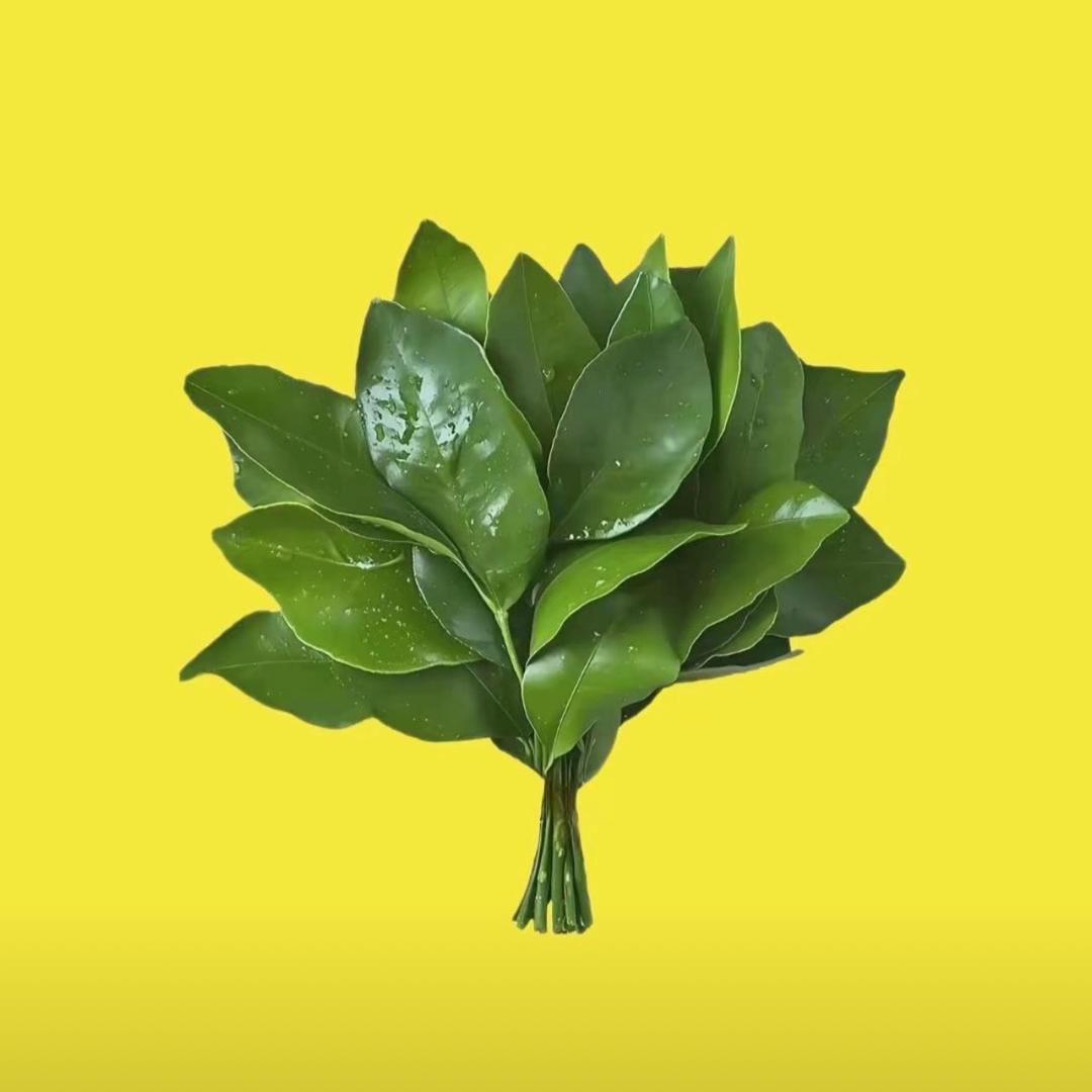 曾小曾