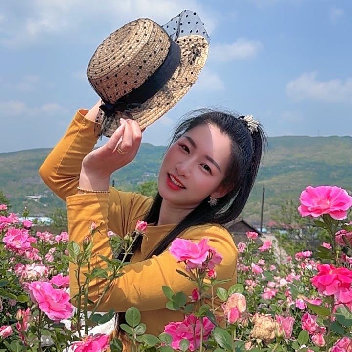 贵妹子