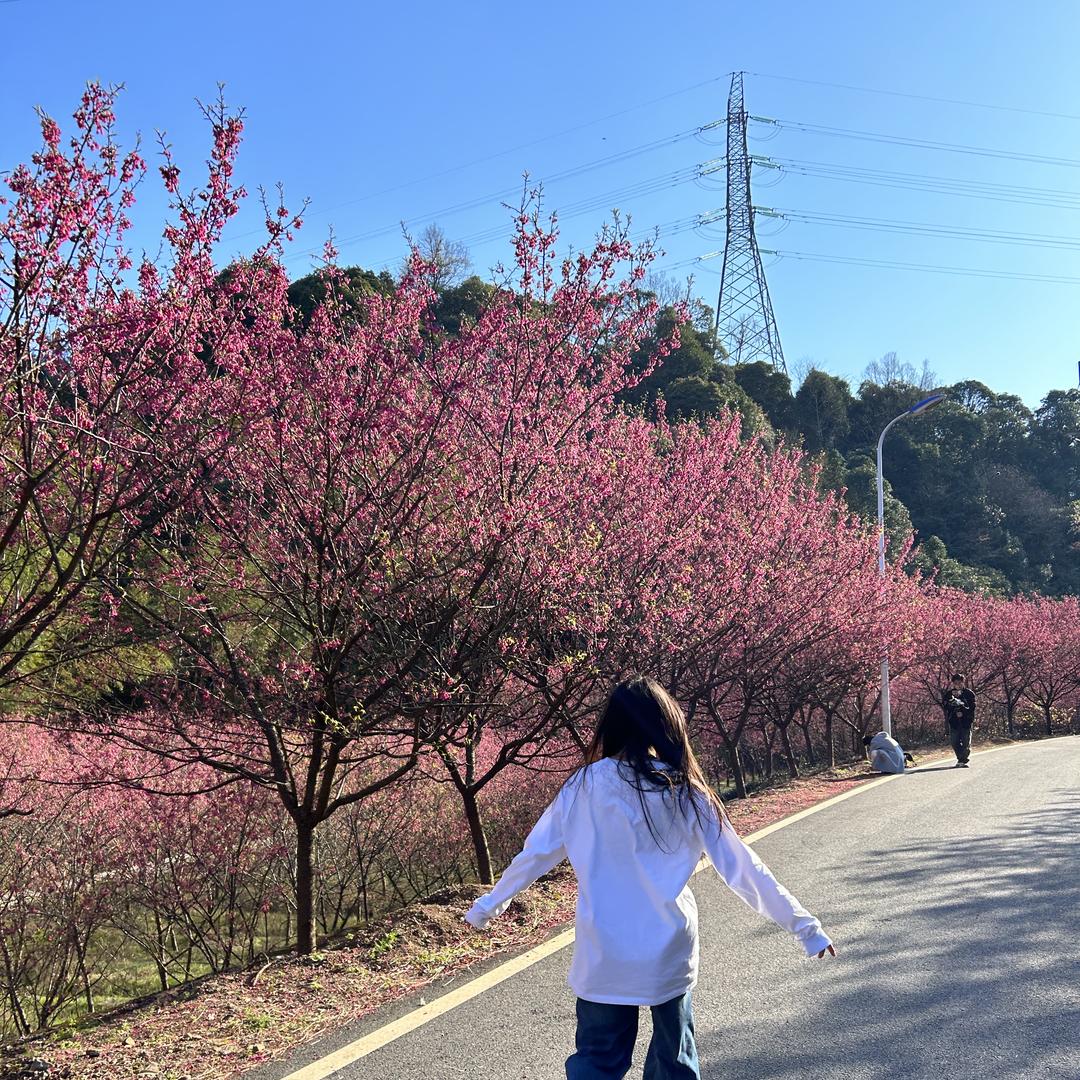 捷途汽车-杭州强瑞店（小江）