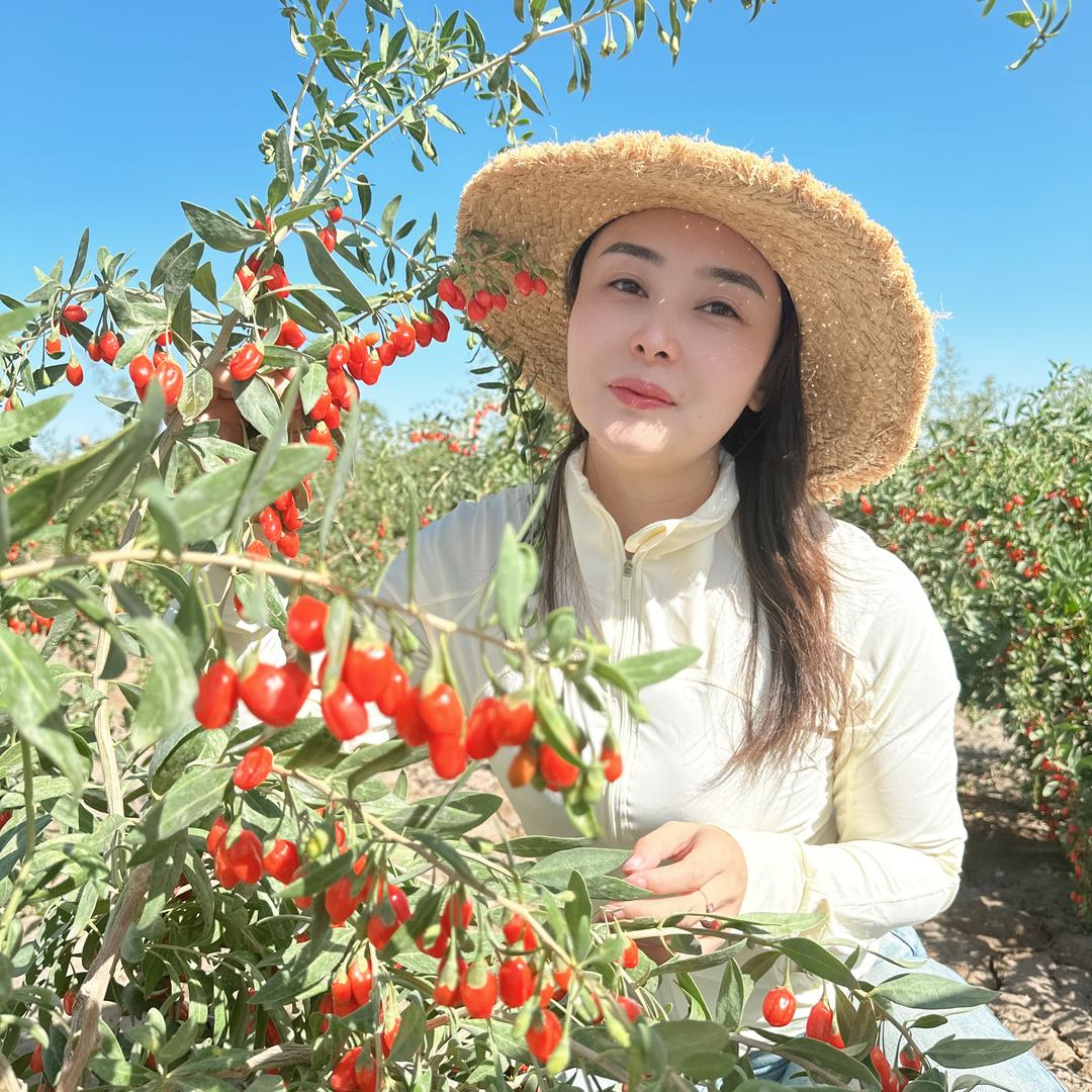 瑶瑶羊肚菌