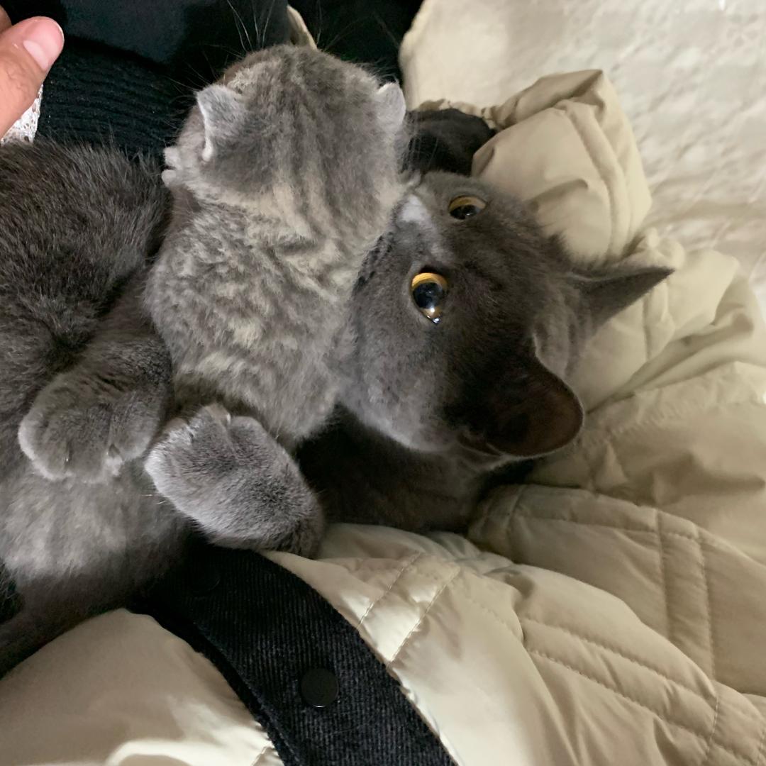 龙港万华荃净界建材