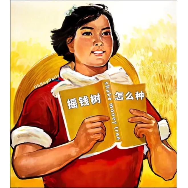 星闪娱乐