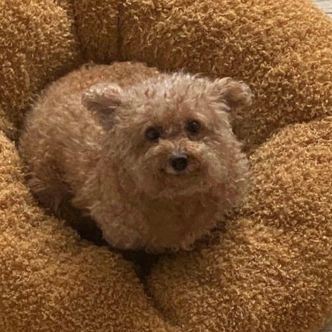 明天一定要早睡