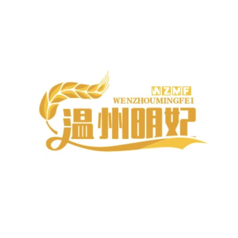 温州明妃时尚女鞋店