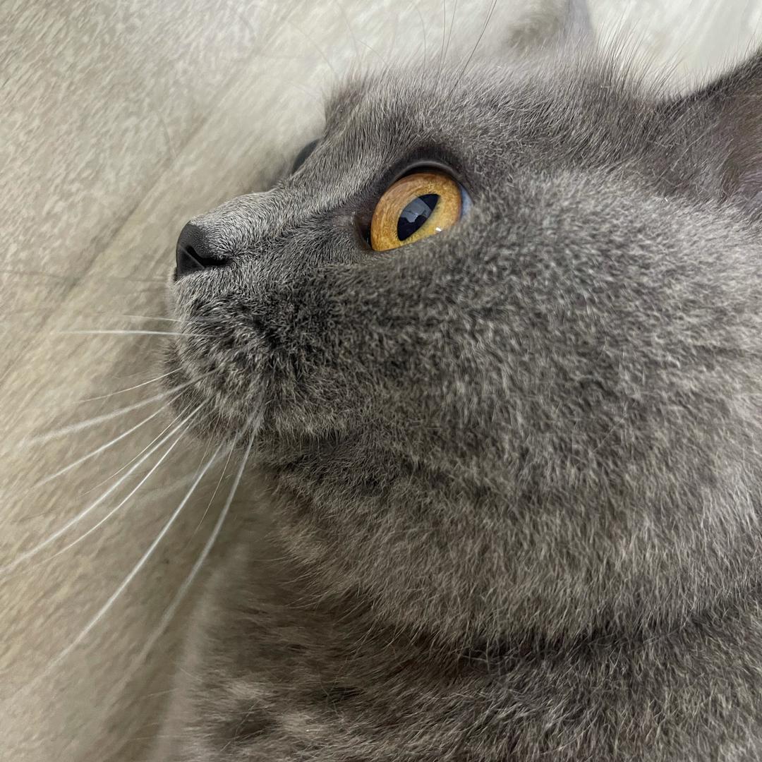 先森❓您哪位❓