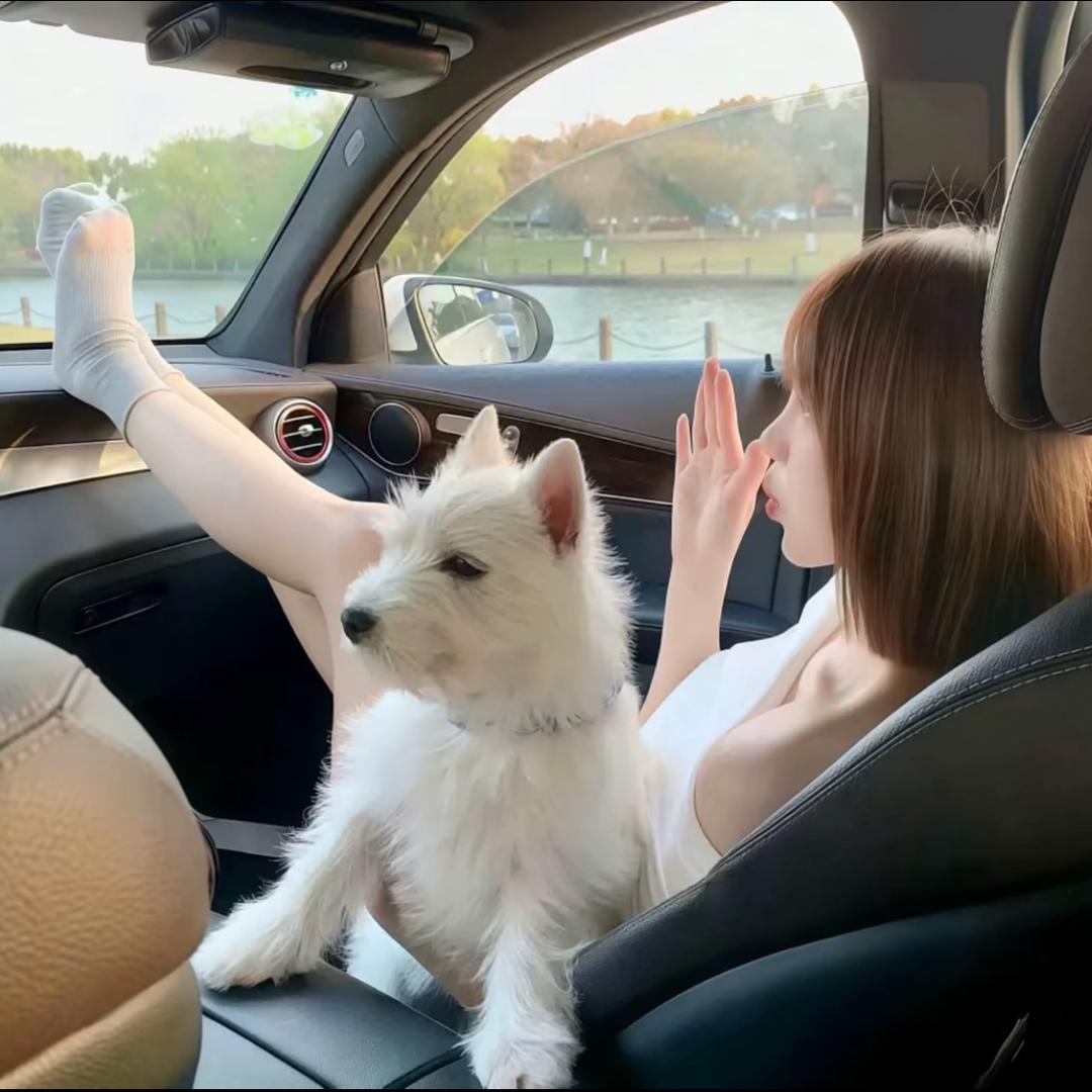草莓蛋糕
