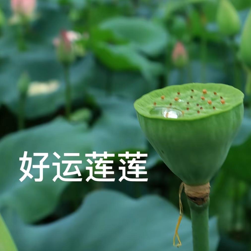 西安铠能迪商贸
