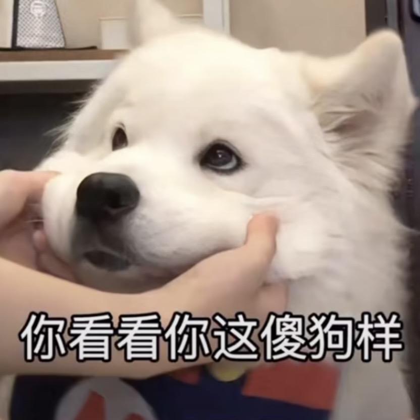 狗勾