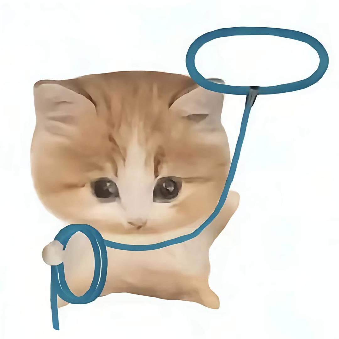炸薯条条