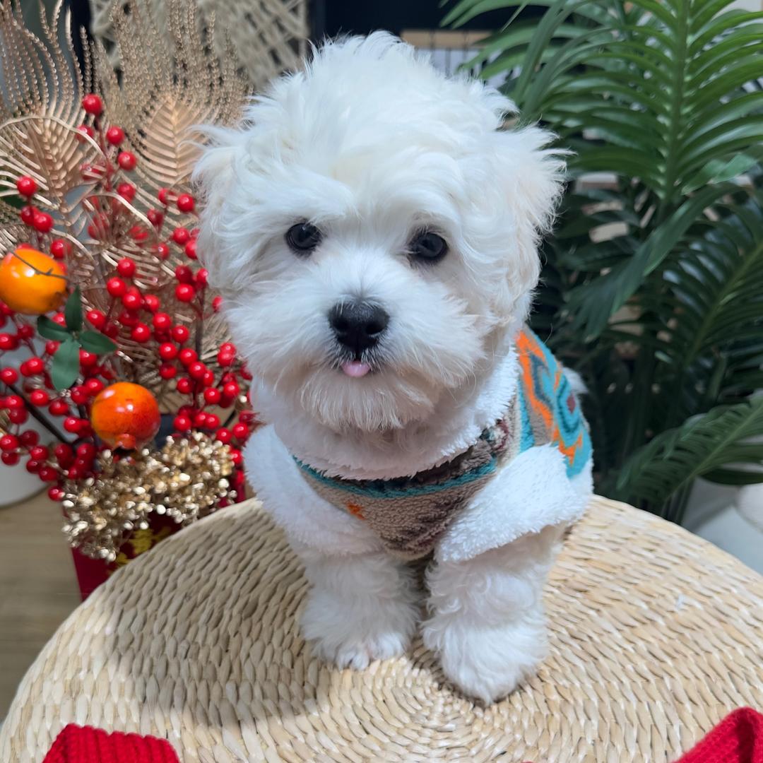 小小101❤️美丽搭配